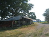 Dallas > The Farm >  IMG_4748