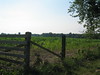 Dallas > The Farm >  IMG_4752