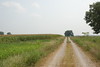 Dallas > Harrisburg, Illinois