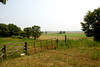 Dallas > The Farm >  DSC_0067