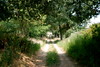 Dallas > The Farm >  DSC_0121