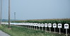 Dallas > The Farm >  DSC_0138