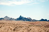 Dallas > Moave Desert