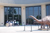 Dallas > Creation Museum, KY