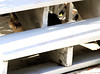 Dallas > Thanksgiving 2007 >  DSC_0110