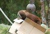 Dallas > San Diego Zoo