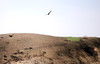 Dallas > Santiago Canyon fire damage