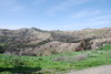 Dallas > Santiago Canyon fire damage