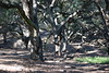 Dallas > Riley Wilderness Park