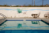 Dallas > April 2008 >  DSC_0146