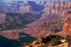 Grand Canyon : Spring break 2009